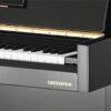 Piano acoustique droit C.BECHSTEIN 116 MILLENIUM Noir Brillant Clavier de piano droit noir, marque C. Bechstein.