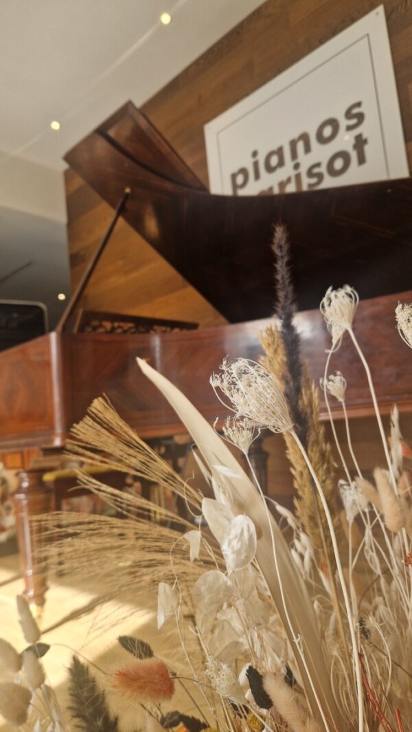 ERARD 190, restauration PIANOS PARISOT