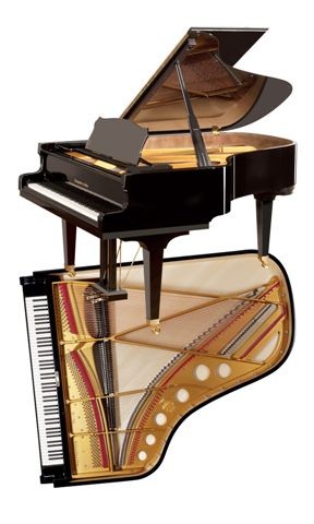Piano acoustique à queue STEINGRAEBER & SÖHNE B-192 Noir Brillant