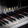 yamaha c3x 1/4 de queue