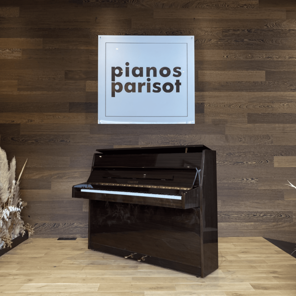 petrof 118 occasion | "rusted wood" (copie) petrof 118 occasion | "rusted wood" (copie)