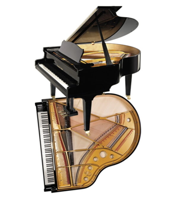 Piano acoustique à queue Steingraeber & Söhne A-170 Noir Brillant