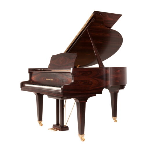 Piano acoustique à queue Steingraeber & Söhne A-170 Vernis spécial