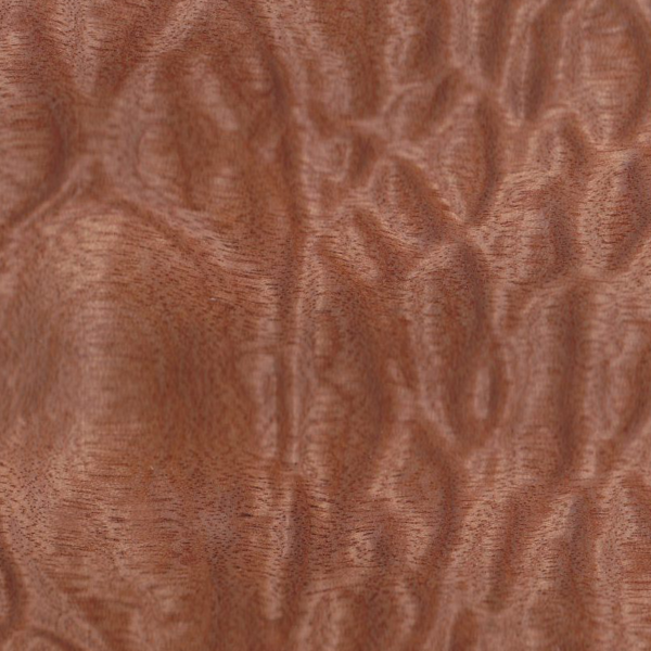 a 170 n vernis spécial satiné