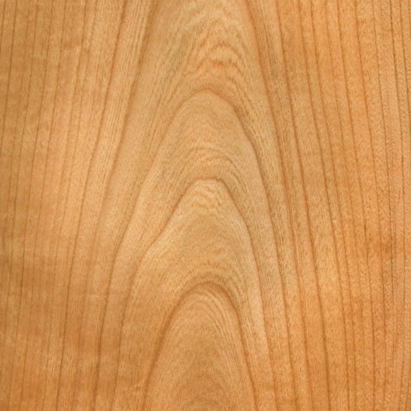 a 170 n vernis spécial satiné