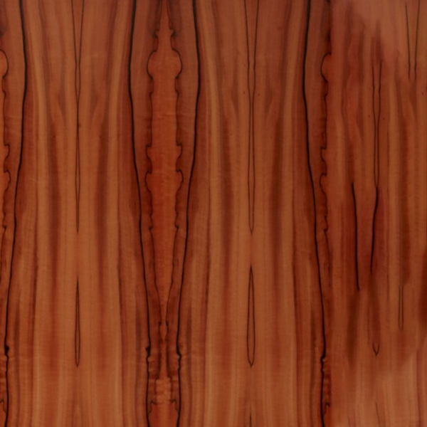 a 170 n vernis spécial satiné