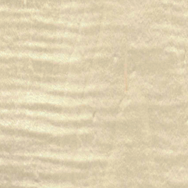 a 170 n vernis spécial satiné