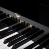 c.bechstein academy 190 noir brillant