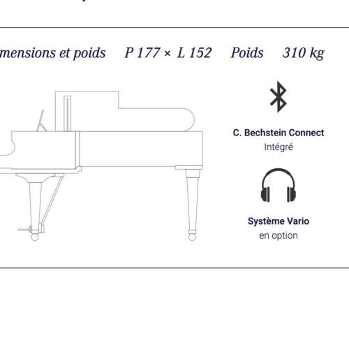 tradition t177 noir brillant