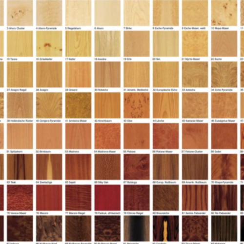 a 170 n vernis ordinaire et extraordinaire satiné/brillant