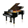 Piano acoustique à queue C.BECHSTEIN A228 Noir Brillant Piano acoustique à queue C.BECHSTEIN A228 Noir Brillant