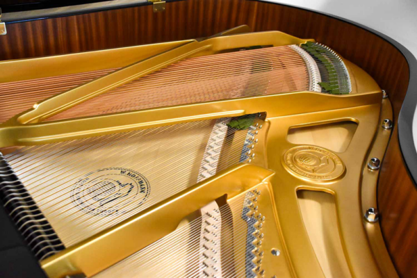 tradition t177 noir brillant