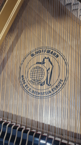 tradition t177 noir brillant