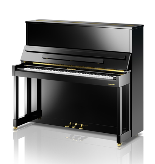 Piano acoustique droit W.HOFFMANN V-131 Noir Brillant Piano acoustique droit W.HOFFMANN V-131 Noir Brillant