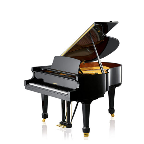 Piano acoustique à queue W.HOFFMANN T177 Noir Brillant Piano acoustique à queue W.HOFFMANN T177 Noir Brillant