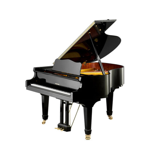 Piano acoustique à queue W.HOFFMANN V175 Noir Brillant Piano acoustique à queue W.HOFFMANN V175 Noir Brillant