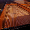 bosendorfer 170 | restauration 1978
