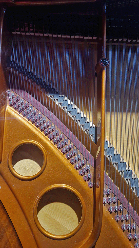 bosendorfer 170 | restauration 1978
