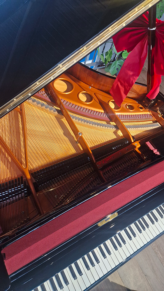 bosendorfer 170 | restauration 1978
