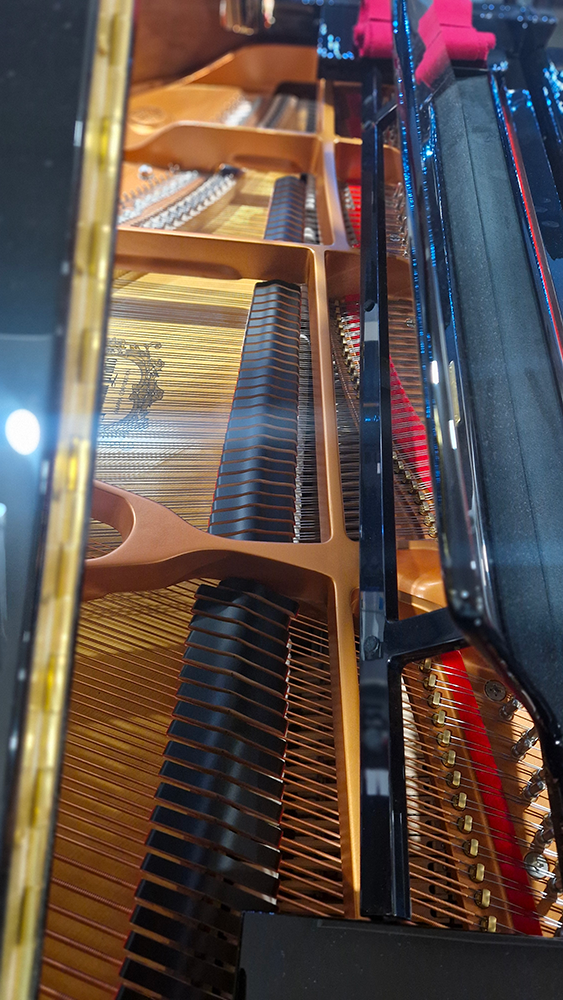 yamaha c3x | noir brillant