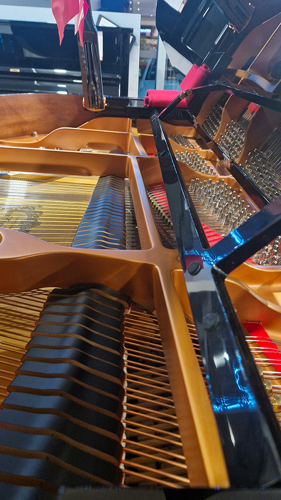 yamaha c3x | noir brillant