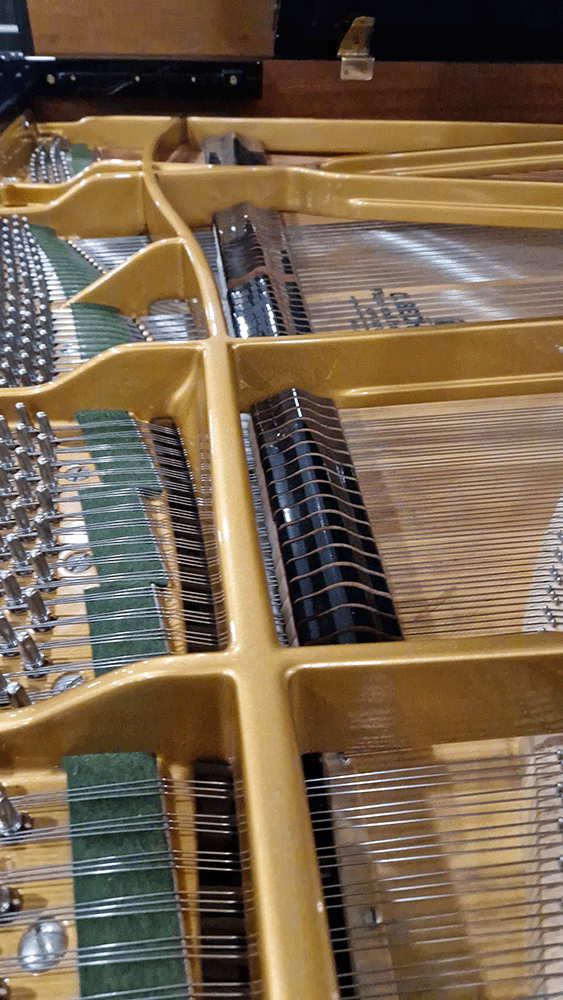 c.bechstein 1/2 que b212 | modèle d'exposition