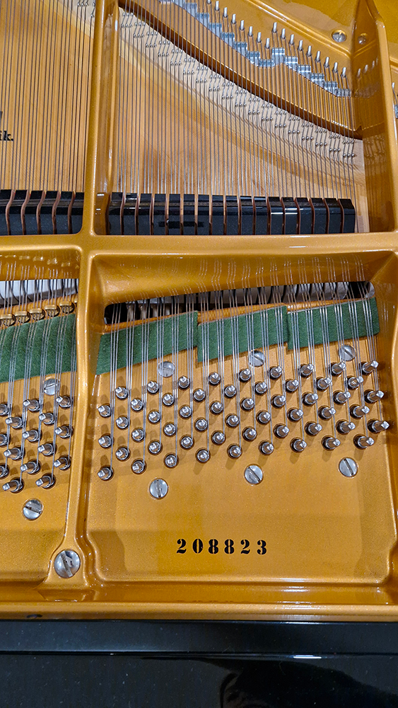 c.bechstein 1/2 que b212 | modèle d'exposition