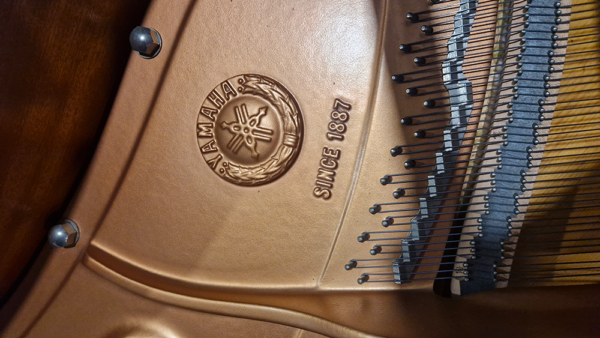 yamaha gc1 silent | noir brillant