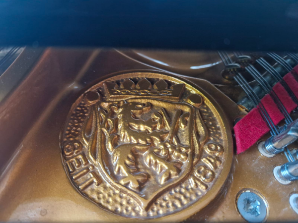 seiler 3/4 de queue | restauration