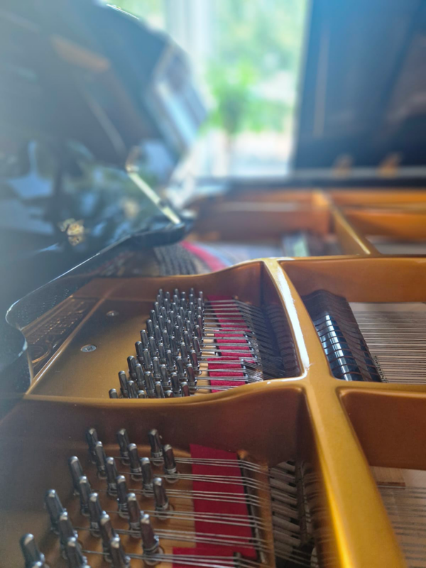 seiler 3/4 de queue | restauration