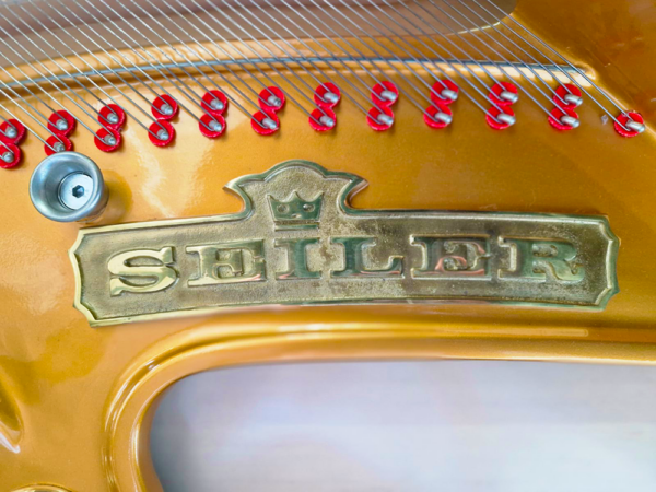 seiler 3/4 de queue | restauration