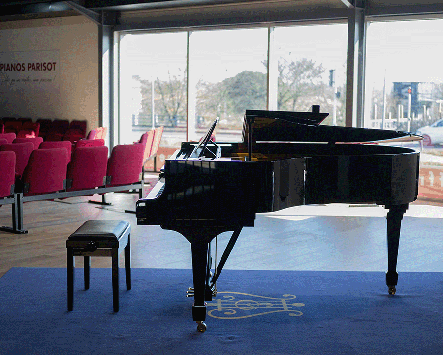 piano a queue prix 1