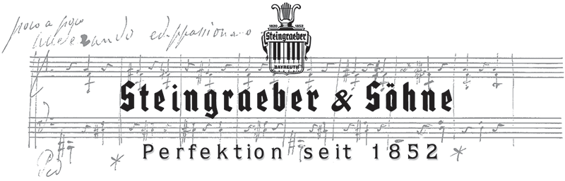 steingraeber logo pp