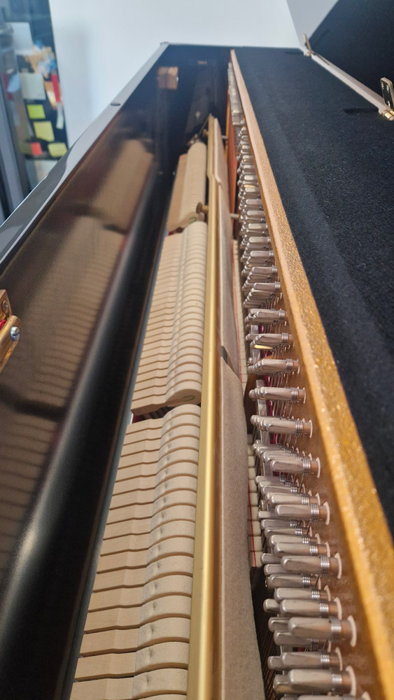 sauter carus 122 | occasion 2016